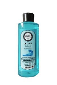 Okyanus Kolonyası Pet Şişe (310 ml)