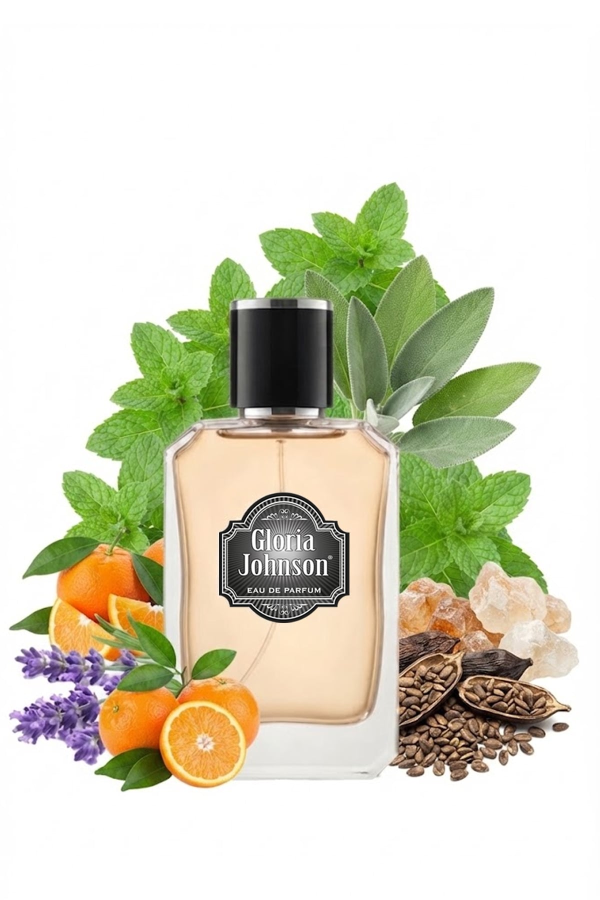 E636 FRUITY ERKEK PARFÜM EDP 50 ML